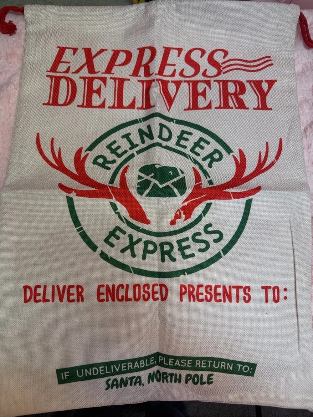 Reindeer Express delivery bag- NWOT